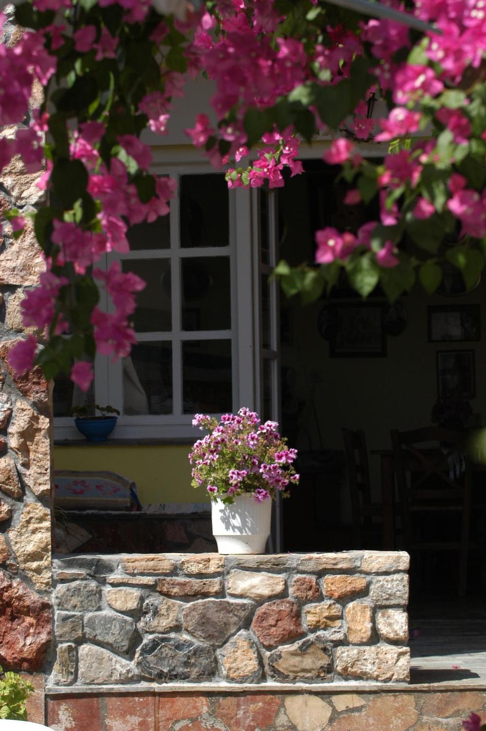 Myrties Boutique Apartments מראה חיצוני תמונה